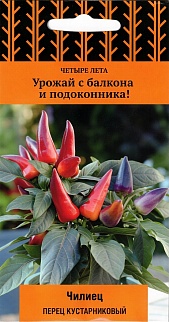 Перец кустарниковый Чилиец,Четыре лета, 5 шт.