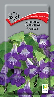 Азарина Лазающая Фиолетовая, 10 шт.