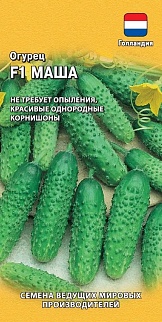 Огурец Маша F1, 5 шт. Голландия.