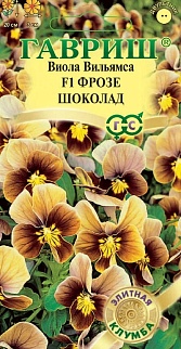 Виола Фрозе шоколад F1, 5шт. Элитная клумба.