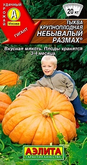 Тыква крупноплодная Небывалый размах, 2 г