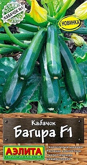 Кабачок цуккини Багира F1, 5 шт.