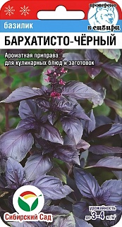 Базилик Бархатисто-черный, 0,5 г. Сибирский сад