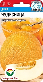 Дыня Чудесница, 7 шт. Сибирский сад.