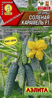 Огурец Соленая карамель F1, 10 шт.