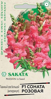 Антирринум (Львиный зев) Соната розовая F1, 7 шт. Саката