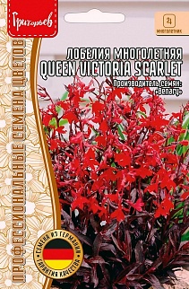 Лобелия многолетняя Queen Victoria(scarlet) 5драже