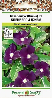 Катарантус F1 Блэкберри Джем, 5 шт. Русский огород