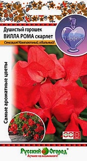 Горошек Душистый Вилла Рома скарлет, 0,5 г Русский огород