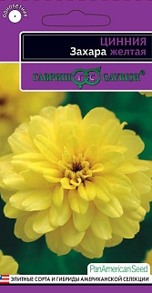 Цинния Захара желтая, 6 шт. Эксклюзив.