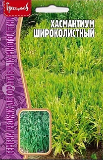Хасмантиум Широколистный, 25 шт.