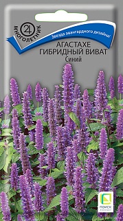Агастахе гибридный Виват Синий, 10 шт.