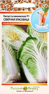 Капуста пекинская F1 Северная красавица, 50 шт. Русский огород.