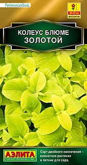 Колеус блюме Золотой, 10 шт. 