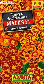 Примула Магия F1, смесь окрасок, 7 шт.