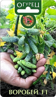 Огурец  Воробей, 10 шт. Биотехника