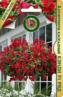 Антирринум каскадный Кэнди F1 Ред, 15 шт. Ампельное Биотехника
