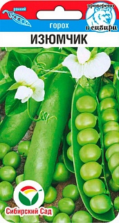 Горох Изюмчик, 5 г. Сибирский сад