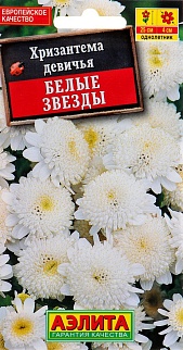 Хризантема девичья Белые Звезды, 0,1 г