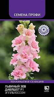 Львиный зев Даблшот F1 Эпплблоссом, 10 шт. Семена Профи