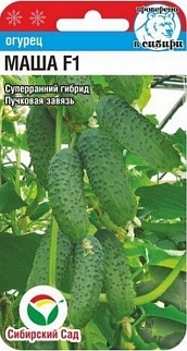 Огурец Маша F1, 5 шт. Сибирский сад