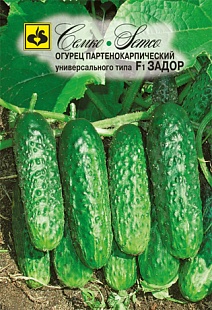 Огурец Задор F1, 10 шт.