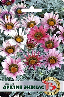 Газания Арктик Энжелс, 7 шт.