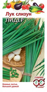 Лук слизун Лидер, 0,5 г