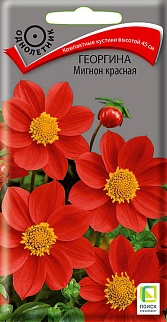 Георгина Мигнон красная, 0,2 г
