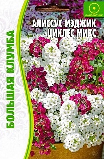 Алиссум Мэджик Циклес микс, 0,1 г