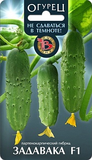 Огурец  Задавака F1, 10 шт. Биотехника