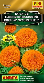 Бархатцы Виктори оранжевые F1 прямостоячие, 10 шт. 