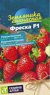 Земляника ремонтантная Фреска, 5 шт. 
