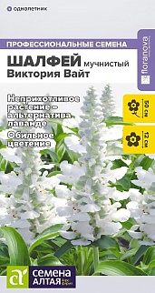 Шалфей Виктория Вайт мучнистый, 10 шт.  