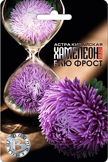 Астра китайская Хамелеон селект Блю Фрост, 30 шт. Биотехника