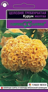 Целозия гребенчатая Курум желтая, 10 шт. Эксклюзив.