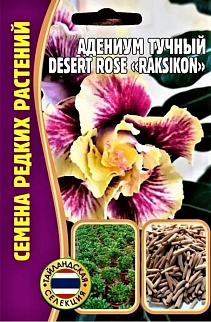 Адениум Raksikon Desert Rose (Раксикон Пустынная роза) , 3шт.
