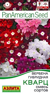 Вербена Кварц, смесь сортов, 7 шт. 
