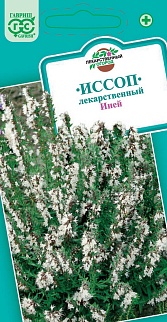 Иссоп Инней, 0,2 г. Лекарственная.