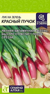 Лук на Зелень Красный Пучок, 0,3 г
