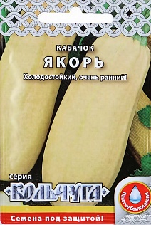 Кабачок Якорь,1,5 г. Кольчуга