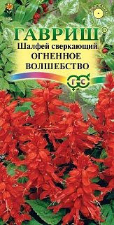 Сальвия сверкающая Огненное волшебство, 0,05 г