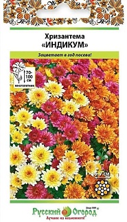 Хризантема индийская Индикум микс, смесь, 50 шт. Русский огород