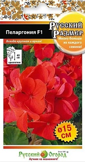 Пеларгония Русский размер F1, 5 шт. Русский огород