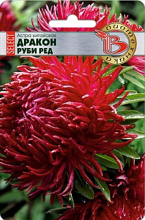 Астра китайская Дракон селект Руби Ред, 30 шт. Биотехника