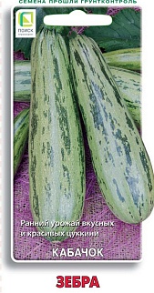 Кабачок Зебра, 12 шт.