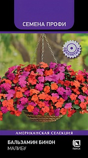 Бальзамин Бикон Малибу, 7 шт. Семена Профи.