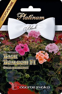 Пеларгония Блэк Вельвет F1, смесь, 5 шт. Платинум Биотехника