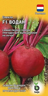 Свекла Водан F1, 1 г. Голландия.