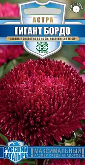 Астра Гигант бордо, игольчато-коготковая 0,05 г. Русский богатырь.